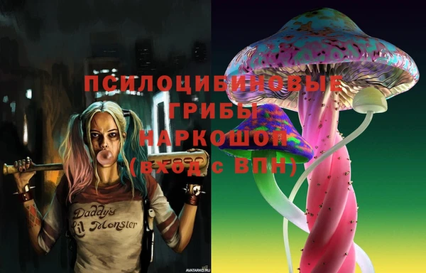 спиды Губаха