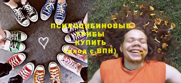синтетический гашиш Богородицк