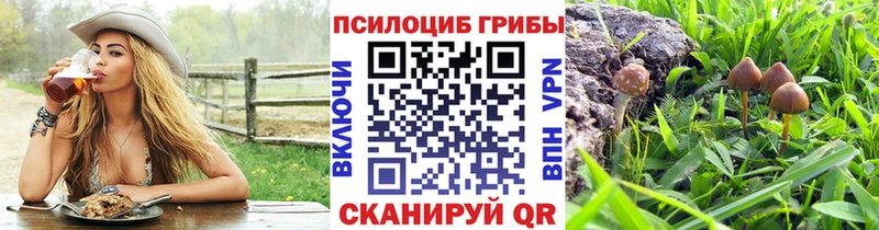 Галлюциногенные грибы Cubensis  что такое наркотик  Верхний Тагил 